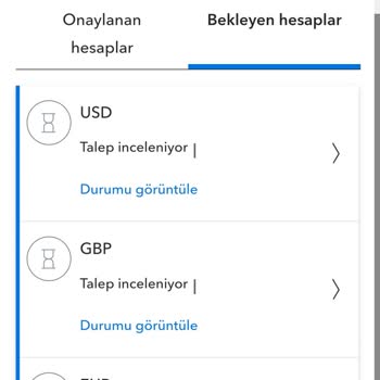 Payoneer Hesap Aktivasyon Ve İnceleme Sorunu