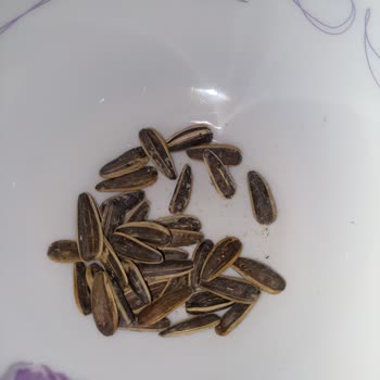 Altın Hasat Gold Harvest Ürün Kalitesizliği