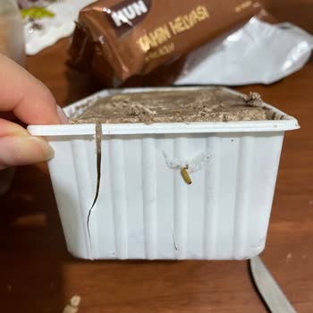 A101 Kurtlu Ürün Satışı