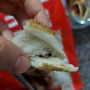 Sinangil Çeşidim Simitten Böcek Çıktı