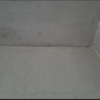 Yiğit Bor İzalasyon Su Yalıtım Çatı Akıtma Yapıyor