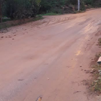 Beykoz Belediyesi Mahallemizde Hijyen Sorunu: Hayvan Atıkları