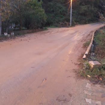 Beykoz Belediyesi Mahallemizde Hijyen Sorunu: Hayvan Atıkları