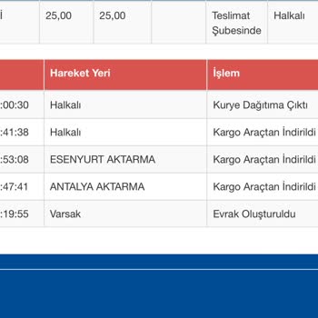 Sürat Kargo'nun Yine Kargomu Teslim Etmemesi