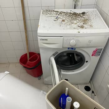 Windsor Servis Elemanı Hatası