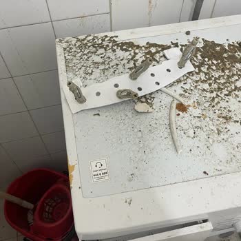 Windsor Servis Elemanı Hatası