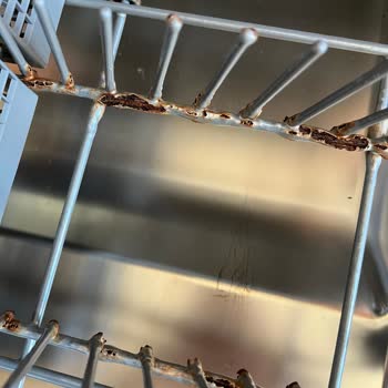 Arçelik Bulaşık Makinesi Paslanma Şikayeti