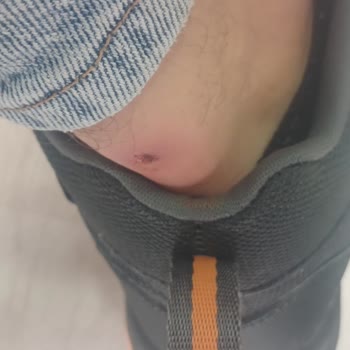 North Of Wild Ayakkabı Kalitesi Ve Hizmet