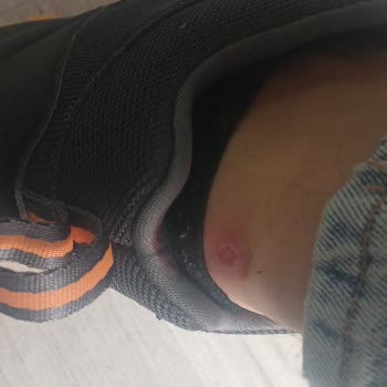 North Of Wild Ayakkabı Kalitesi Ve Hizmet