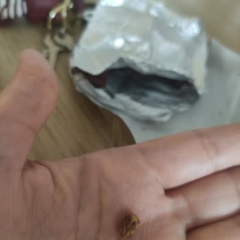 Torku Çikolatasından Çıkan Tahta