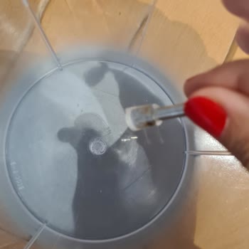 Sinbo Shb 3100s Blender