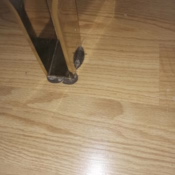 Bellona Müşteri Hizmetleri Ve Servisin İlgisizliği Servisin İlgisizliği