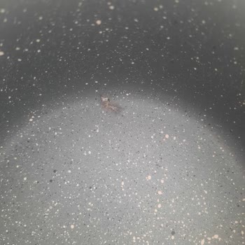 Schafer Hurda Ürün Gönderdi