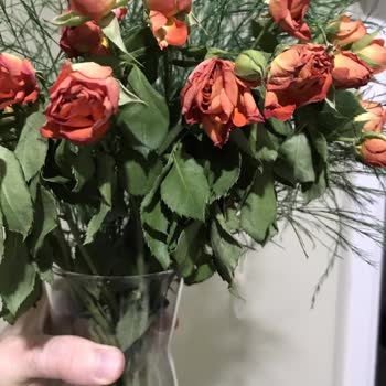 1 Gün Geçmeden Solan Güller Ve Çiçek Sepeti İlgisizliği