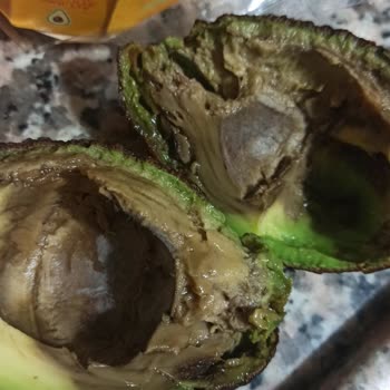 Getir Hayal Kırıklığı Yaşattı