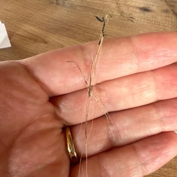 Kuaför Erol (İzmir/Çiğli) Kuaför Hüsranı Saç Bakımı Kabusu