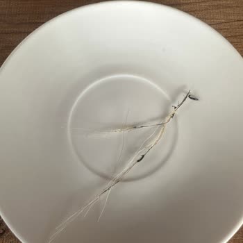 Kuaför Erol (İzmir/Çiğli) Kuaför Hüsranı Saç Bakımı Kabusu