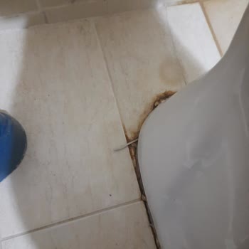 Tuna Termal Otel (Afyon) Temizlik Ve Hijyen