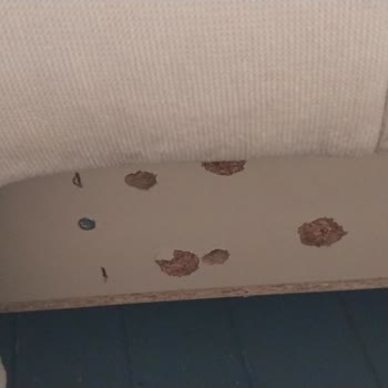 Kelebek Mobilya Leny Köşe Koltuk