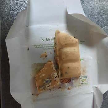 Nestle Çikolata Böcek Çıkması