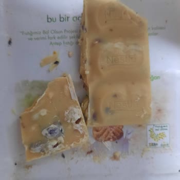 Nestle Çikolata Böcek Çıkması