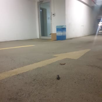 Kentplus Centrium B Blok Otopark Kirliliği