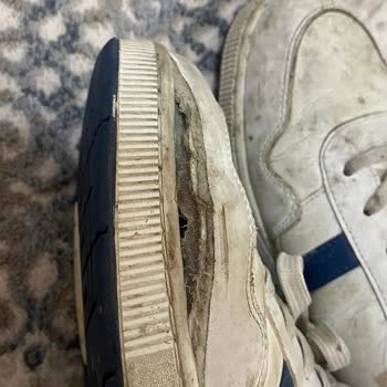 Lacoste Ayakkabının Geldiği Durum!