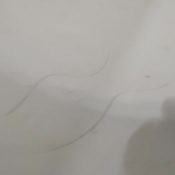 CeraStyle Lavaboda Çizik Oluşması