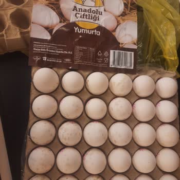 Şok Market Yumurta Küflenmesi