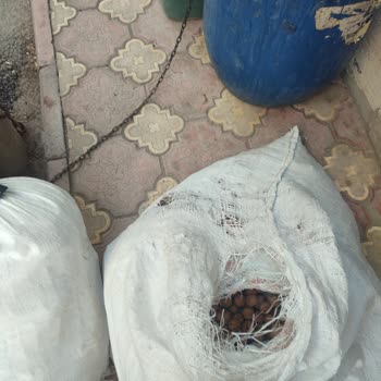 MNG Kargo Kayıp Ve İçi Açılıp Yenmiş