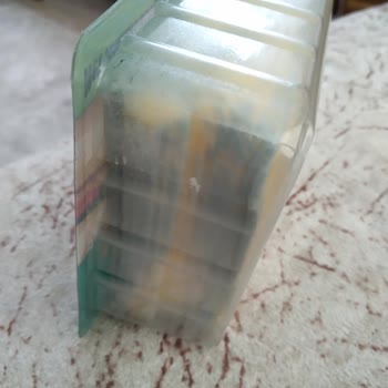 Mis Şok Da Küflü Peynir