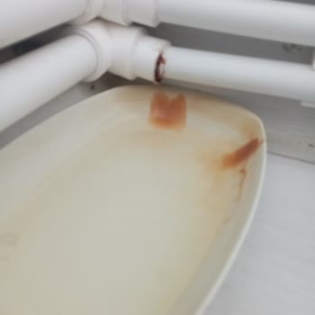 Daikin Üç Aylar Kombi Servisi