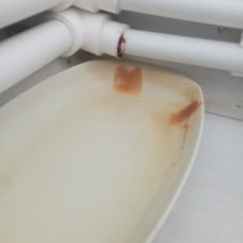 Daikin Üç Aylar Kombi Servisi