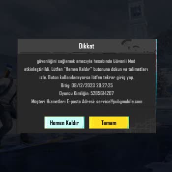 PUBG (Pubgmobile.com) Hesap Erişim Sorunum Acilen Çözülmeli!