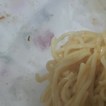 Dudomi Noodle'dan Böcek Çıktı