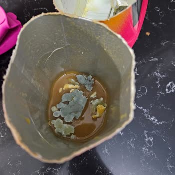 Küflü Cappy Şeftali Meyve Suyu