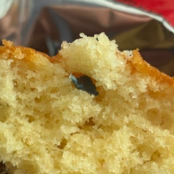 Eti Gıda Eti Topkek Meyveli Kek'in İçinden Mavi Plastik Parça Çıkması!