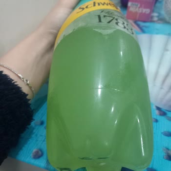 Schweppes Gazoz Yeşil Şeyler Var Kutunun İçinde