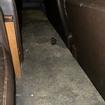 Cinema Pink Sinema Salonu Temizlik Sorunu