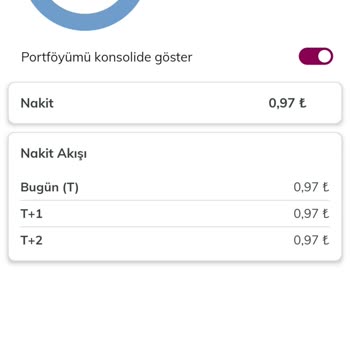 QNB Finansinvest Halka Arz Hesabımda Gözükmüyor