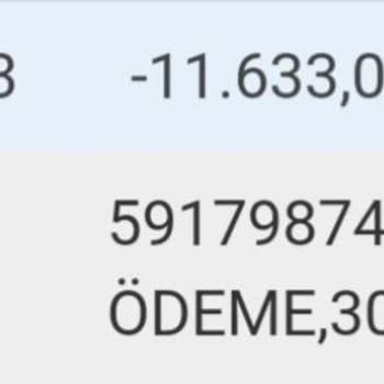 İSKİ Su Faturası 11.633,00 Tl.