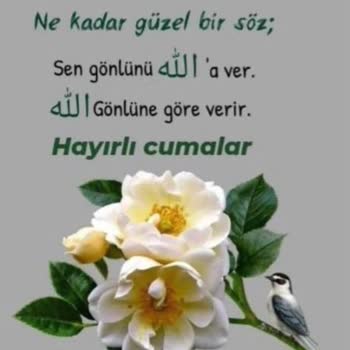 E Nabız Giriş Yapamıyorum