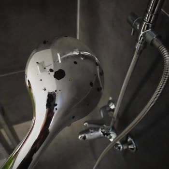 Pek Temizlik (Samsun) Çok Kötü Temizlik Üstüne Maddi Zarar