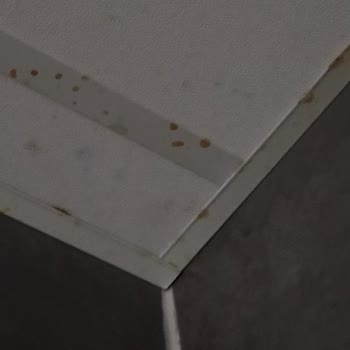 Pek Temizlik (Samsun) Çok Kötü Temizlik Üstüne Maddi Zarar