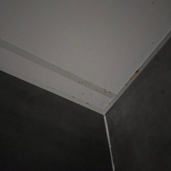 Pek Temizlik (Samsun) Çok Kötü Temizlik Üstüne Maddi Zarar