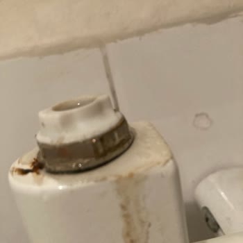 Vaillant Müşteri Hizmetleri Satışta İyi Satış Sonrası Destek Eksi