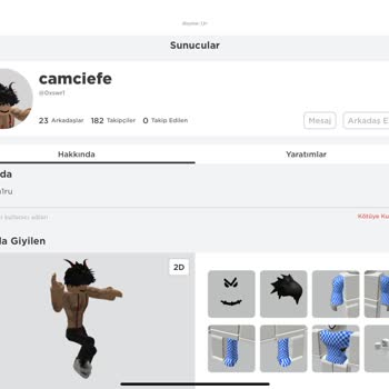 ROBLOX Özel Sunucusu Gitmiyor