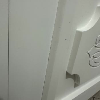 Rüya Tasarım Organizasyon (Konya) Teslimat Ve İade Süreçlerinde Yaşanan Sorunlar