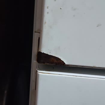 Bosch Buzdolabının Kapısının Çürümesi