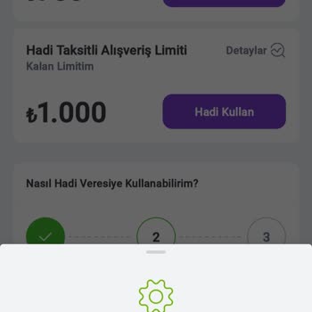 Hadi TOM Pay Hadi Veresiye Kredi Bakiyemi Kullanamıyorum